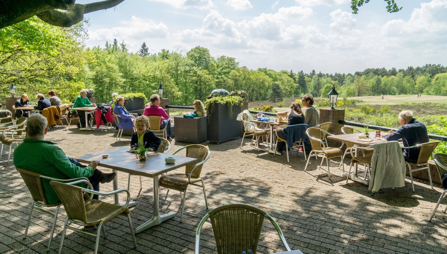 Zomerse wandelingen