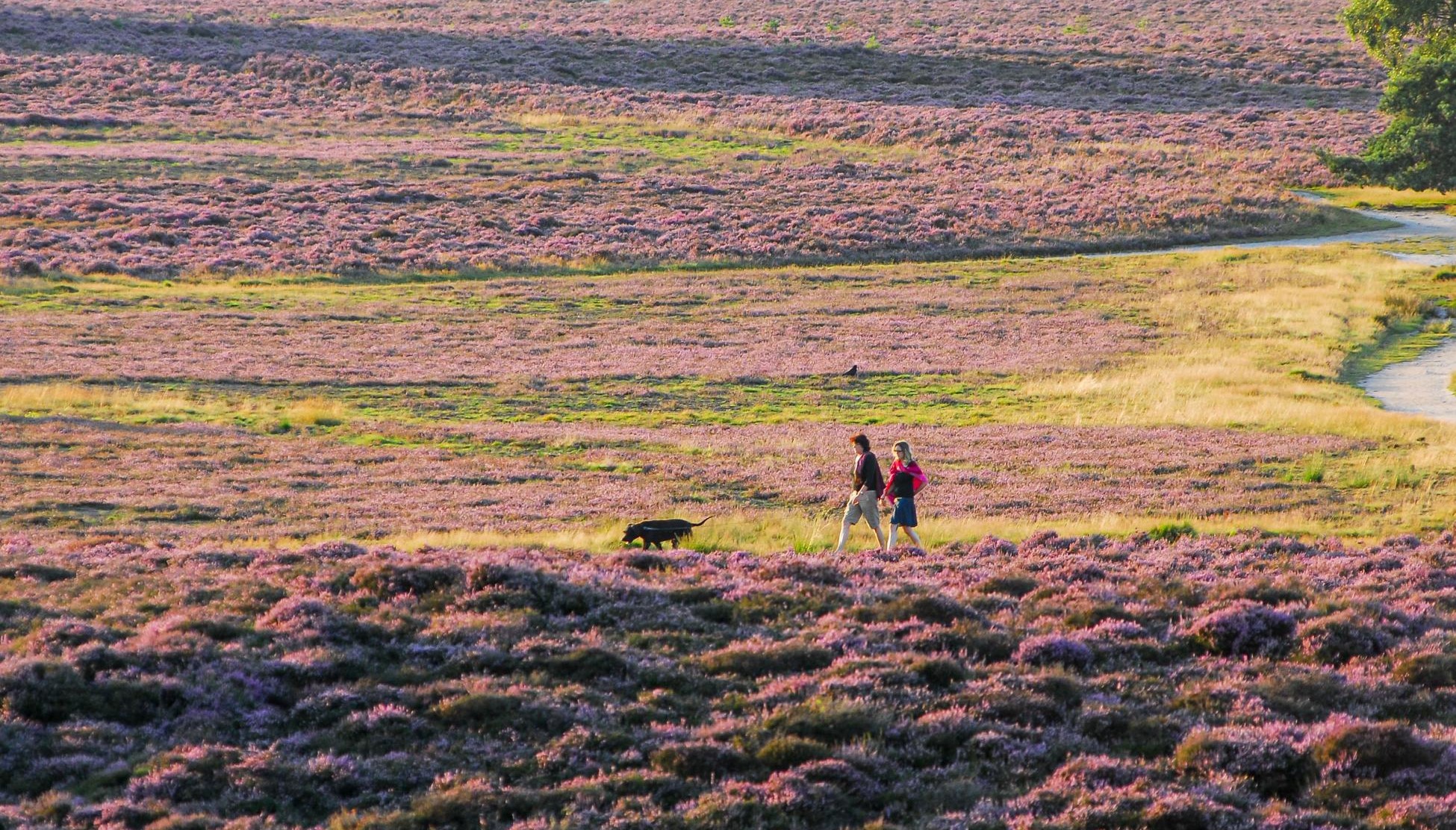 Rondje Veluwe