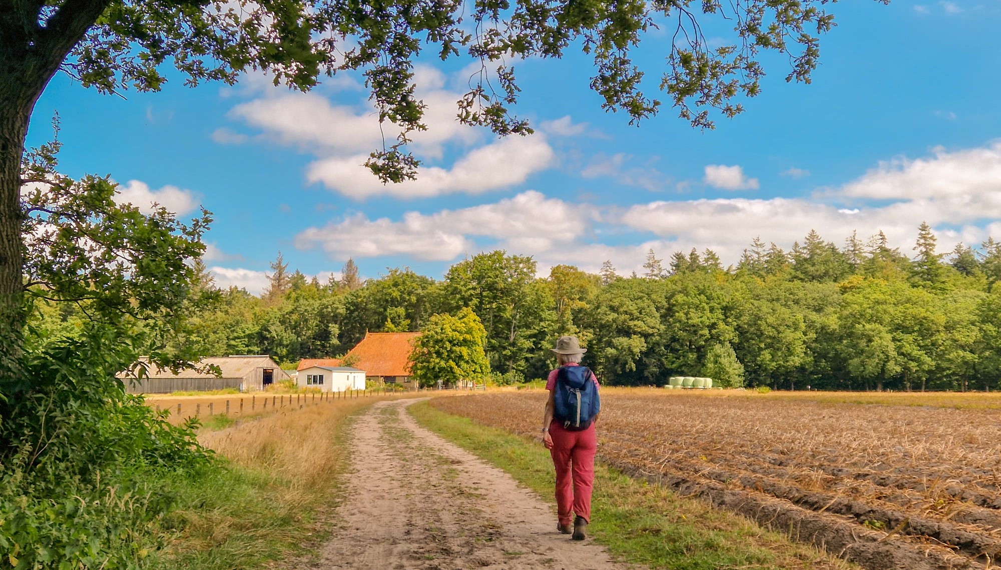 Wandeling van de maand augustus