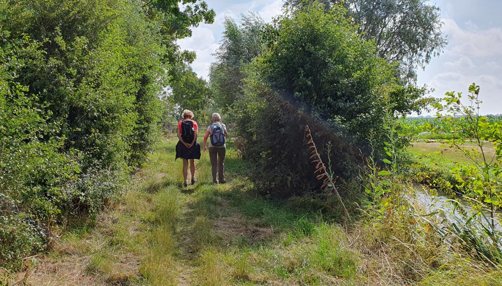 Wandelen in het Groene Hart