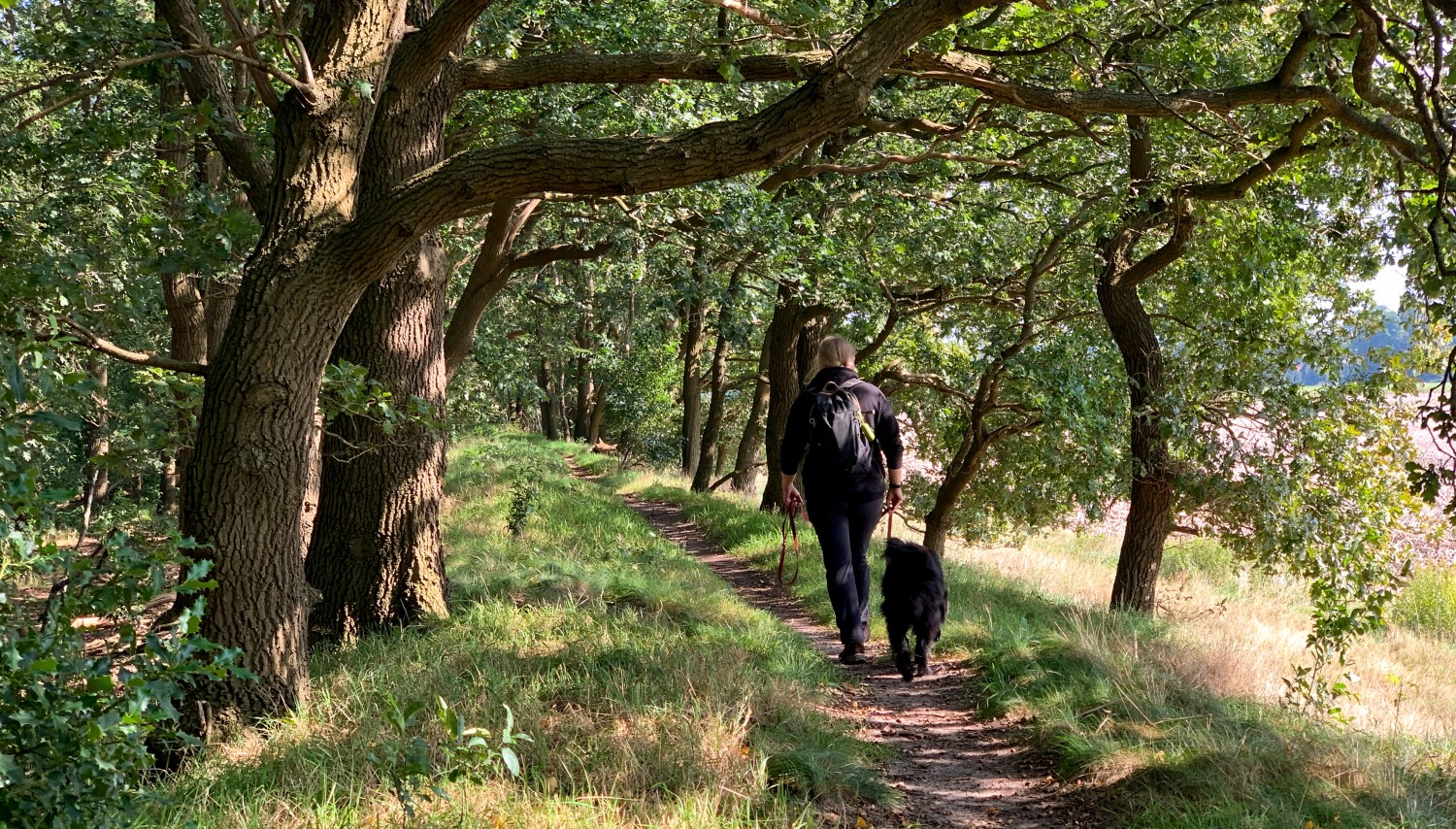 Kant-en-klare korte wandelroutes