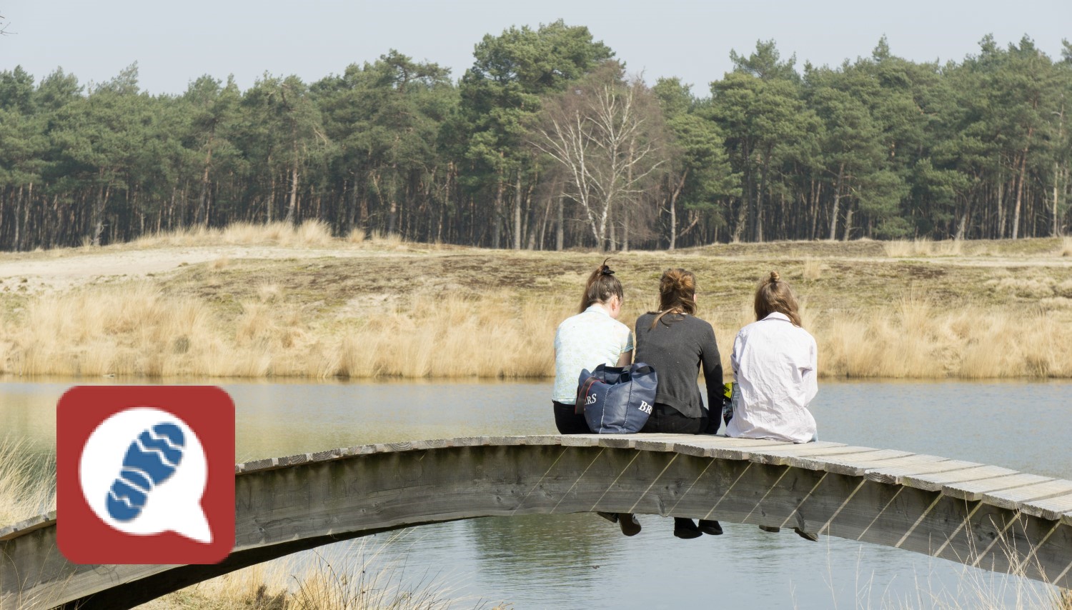 NS-wandelingen nu ook in WandelZapp