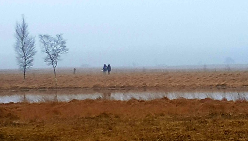 Wandelen in het Drents-Friese Wold