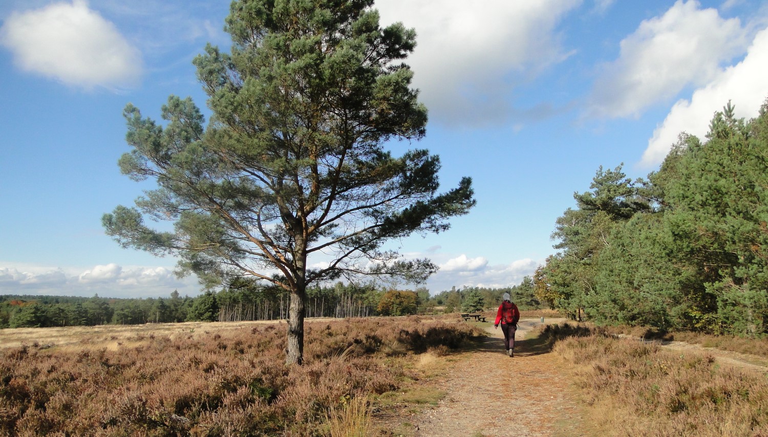 Wandeling van de maand