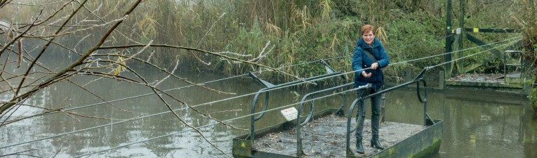 Wandelgebieden in Nederland