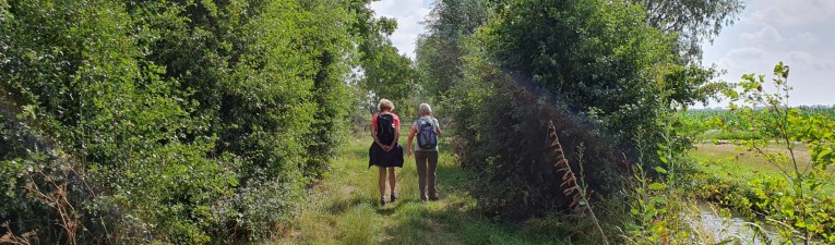 Wandelgebieden in Nederland