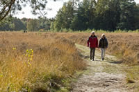 Wandelen in het Drentse landschap