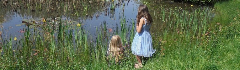 Wandelen in waterschap Vechtstromen