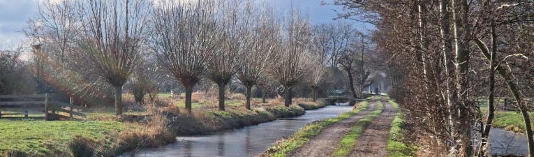 Winterwandelingen