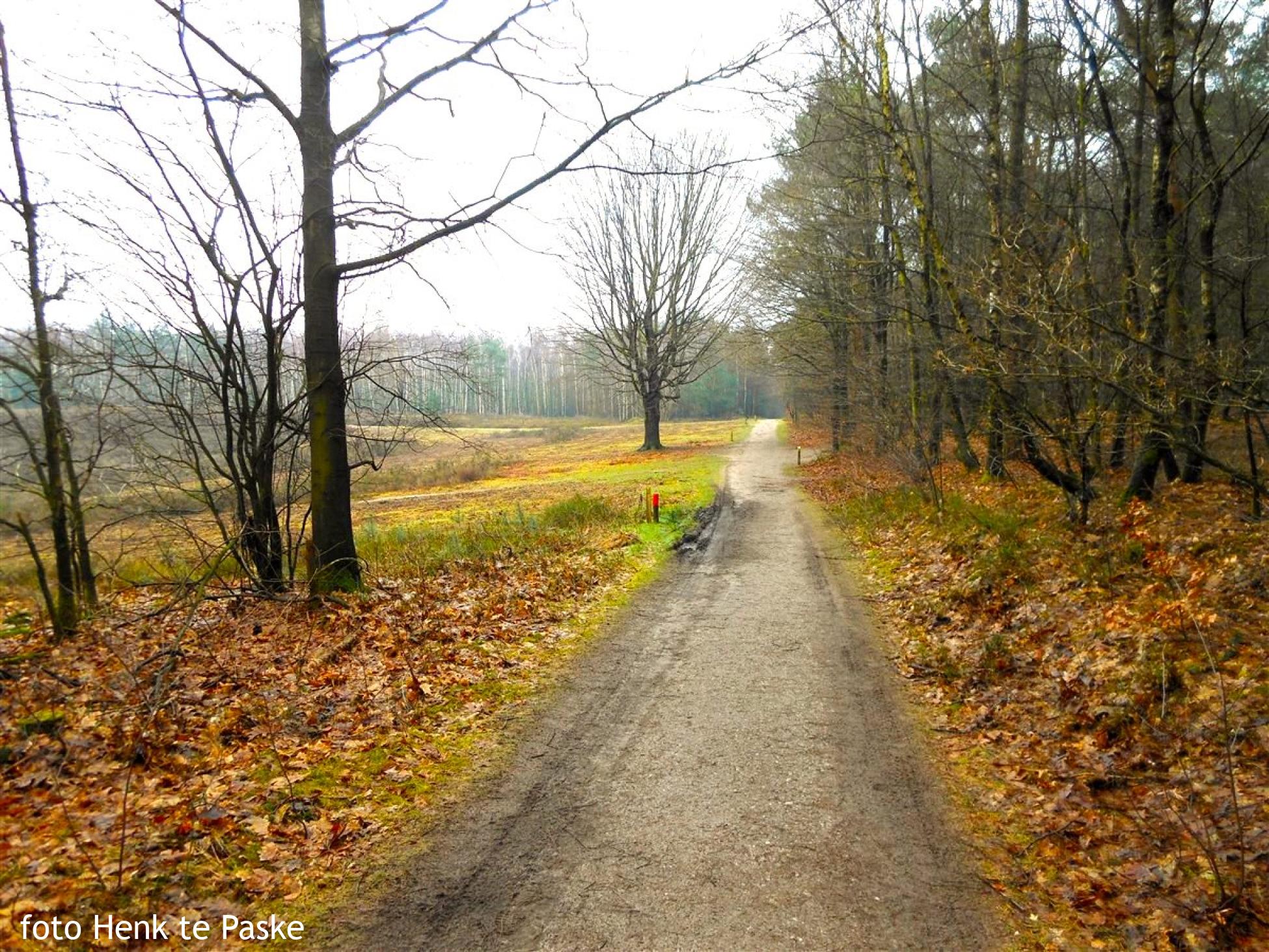 Wandelroute Elsterberg