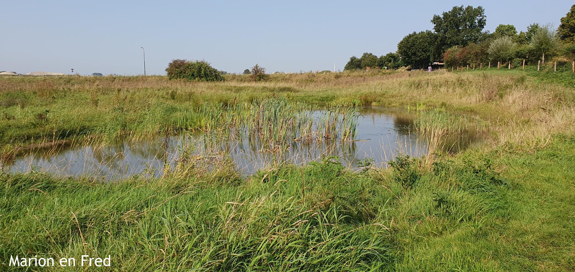 Elster Buitenwaarden