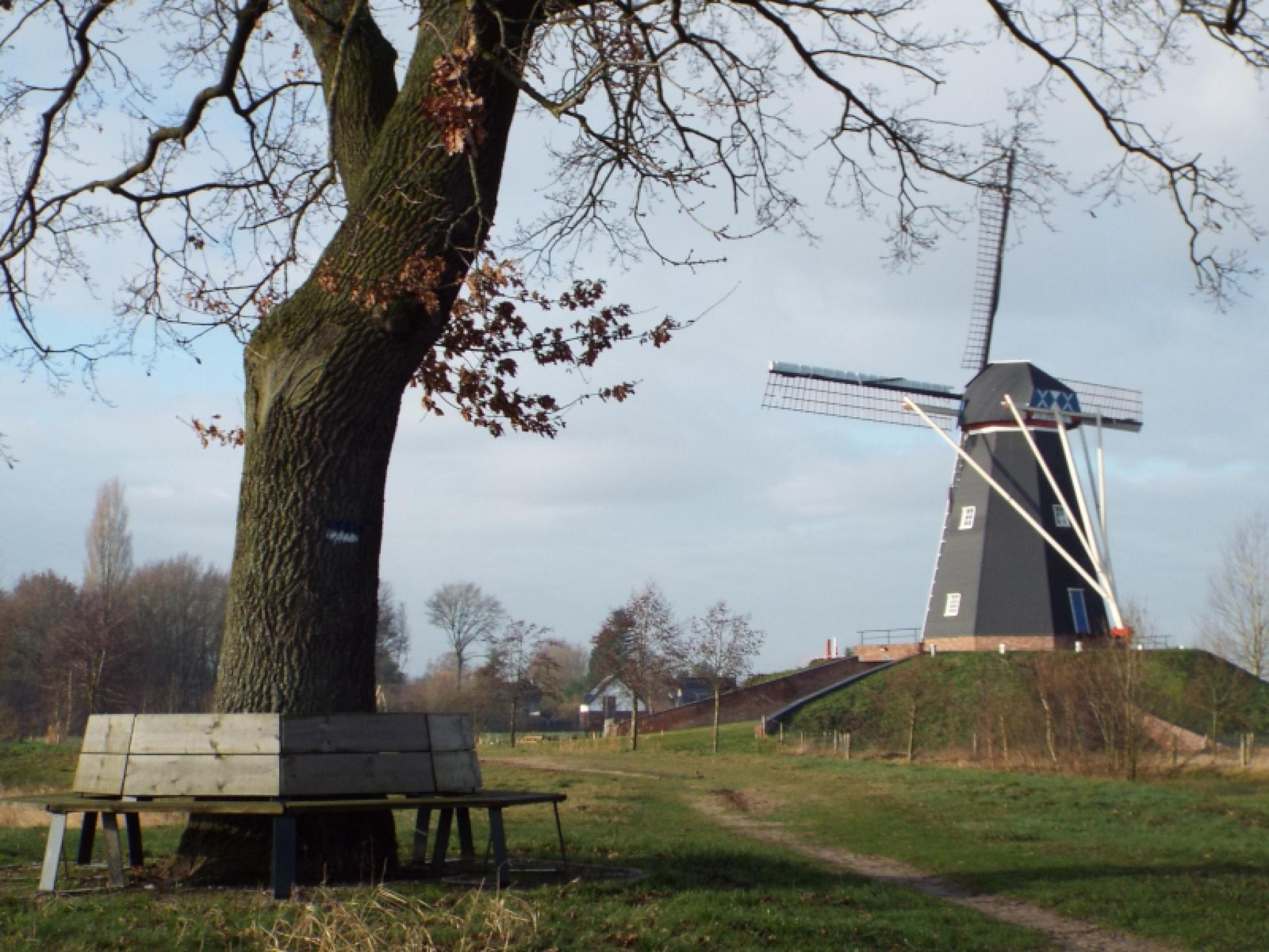 Molen de Zwaan