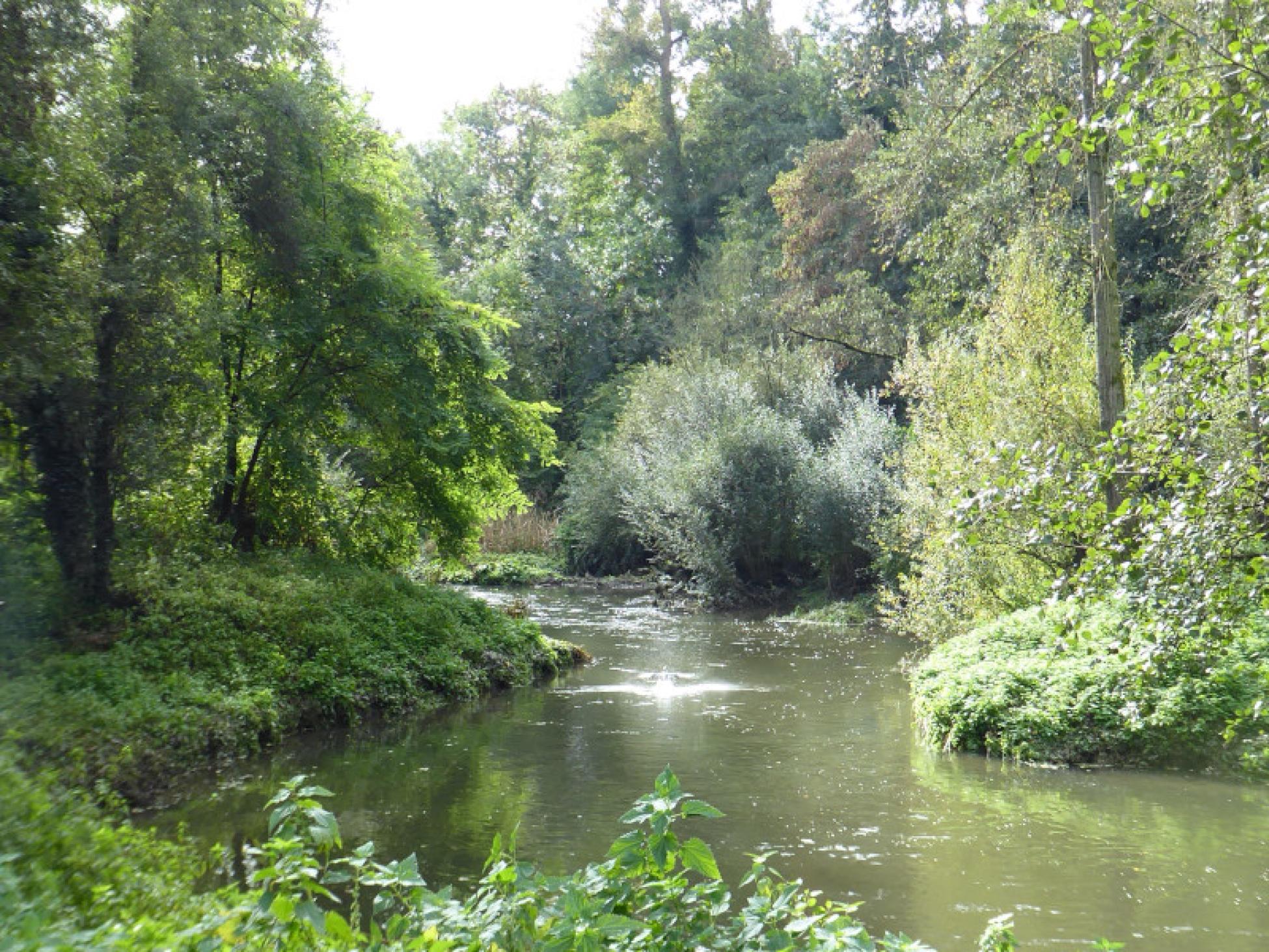 De Geleenbeek