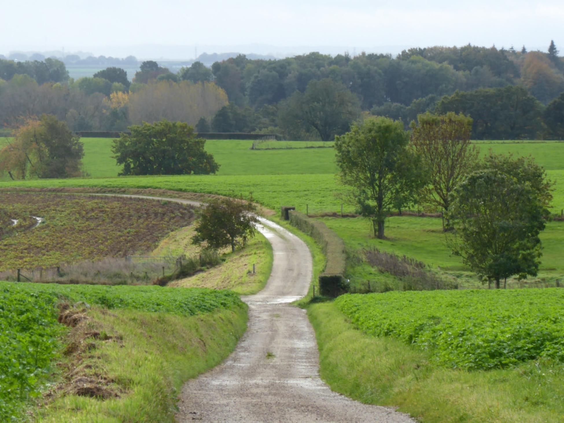 Uitzicht vanuit het Centraal Plateau