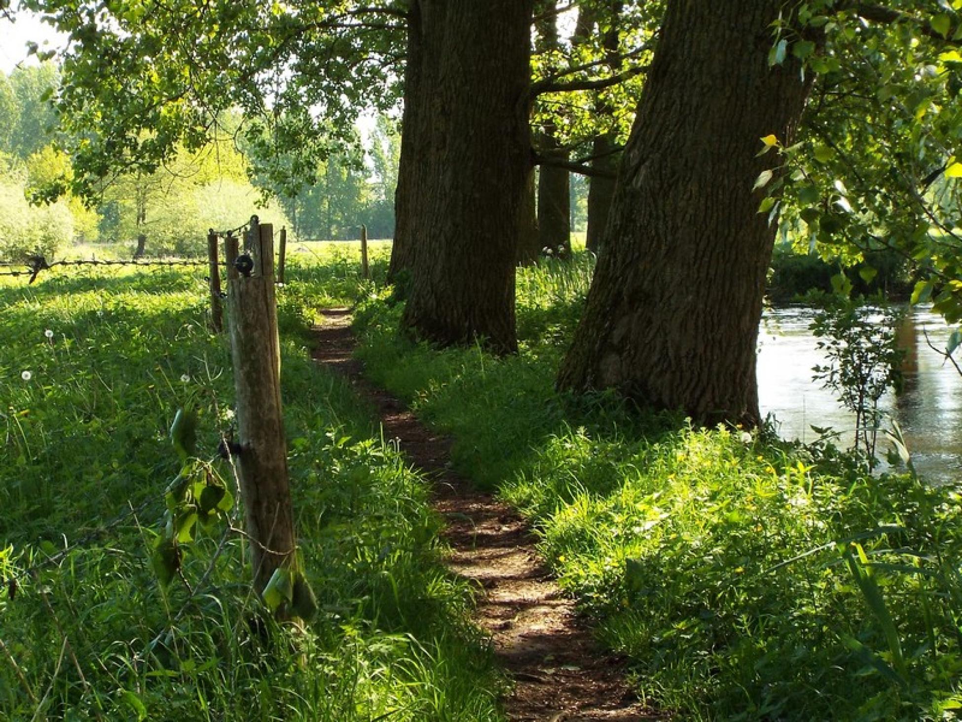 Smal pad langs de Dommel