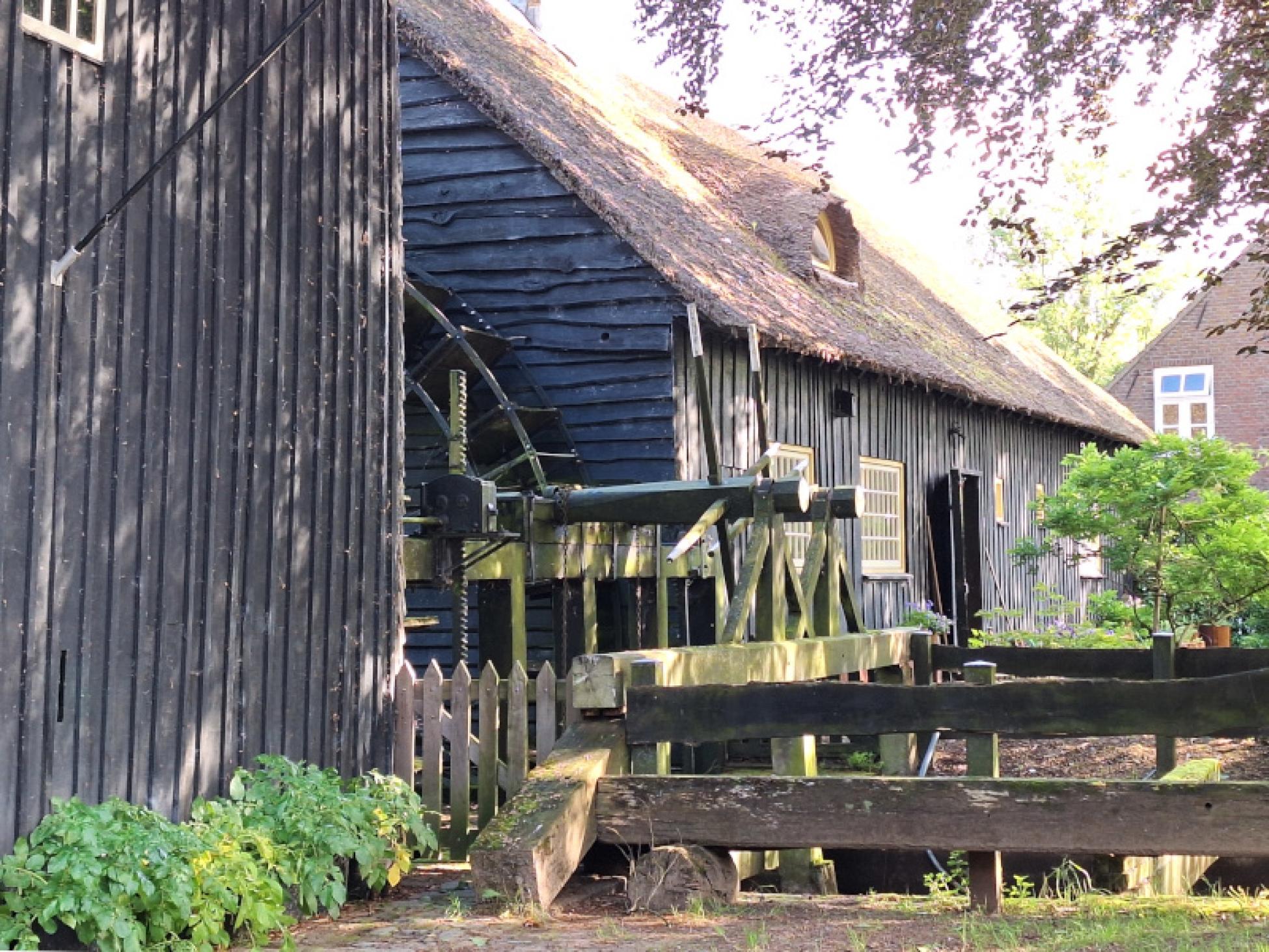 De Hooydonkse watermolen