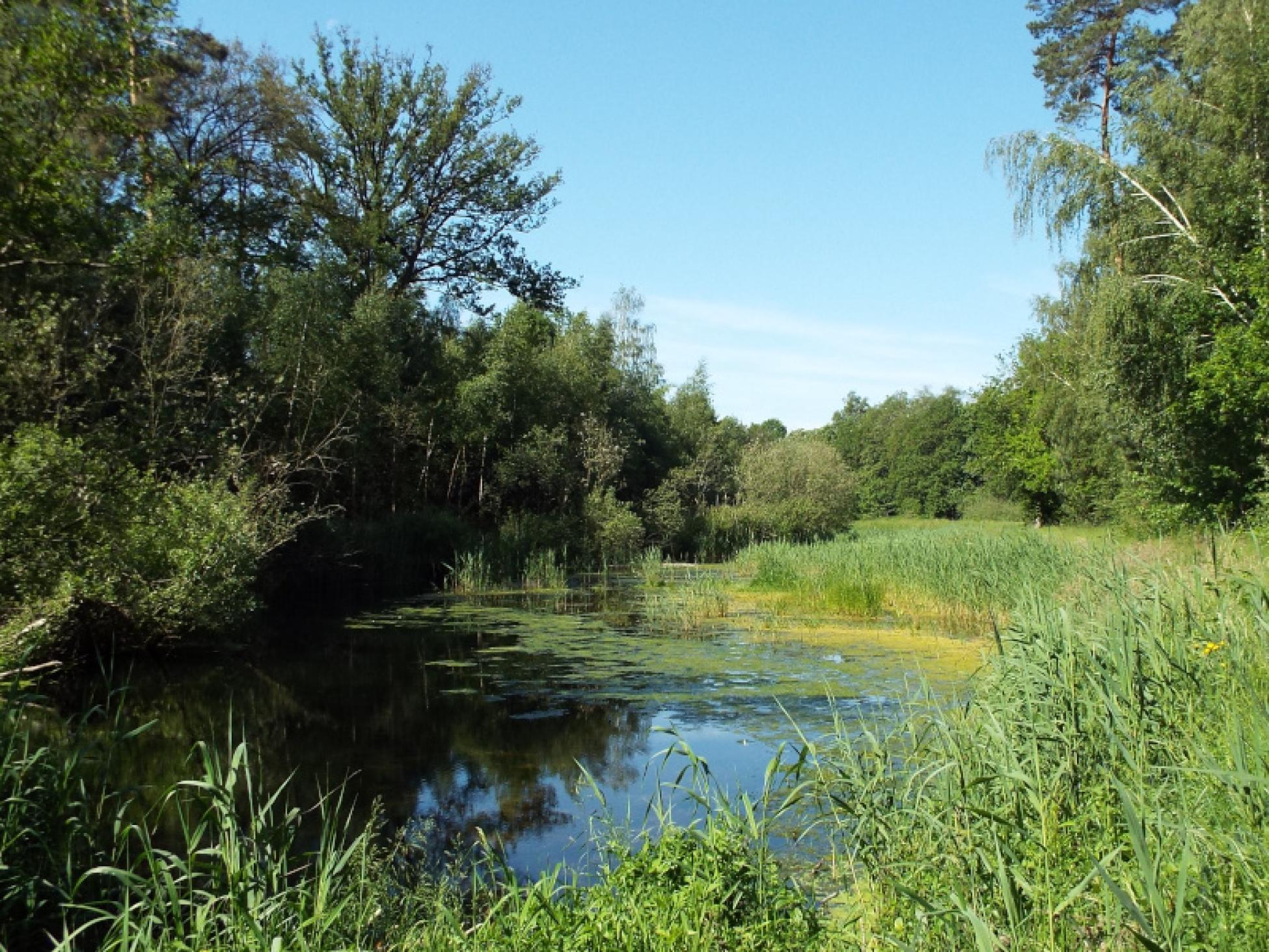 De Neerpeelbeek