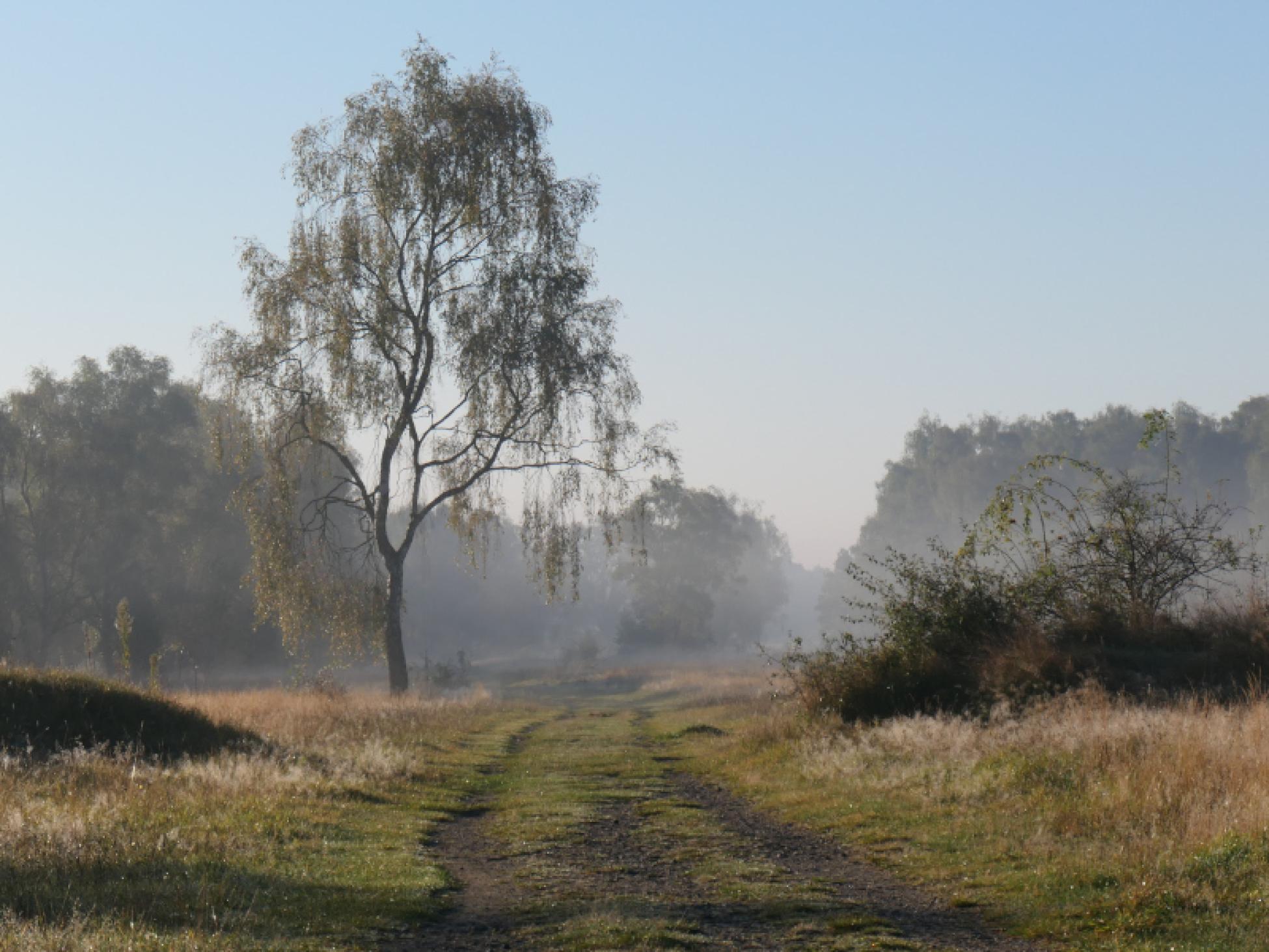 De Groote Heide