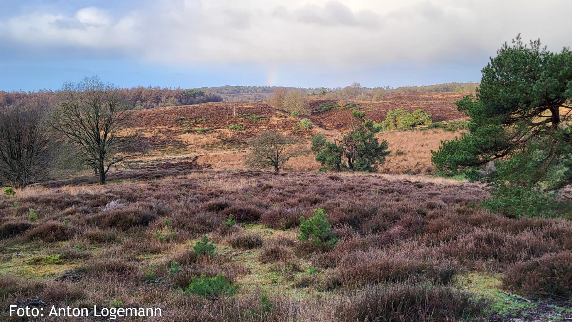 Herikhuizerveld nabij De Posbank